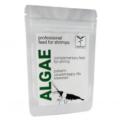 ALGAE – pokarm...