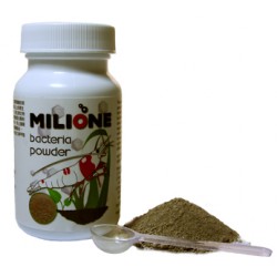 Milione Bacter Powder - 70 g