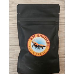 KW Shrimps - Bakterie V1 -...